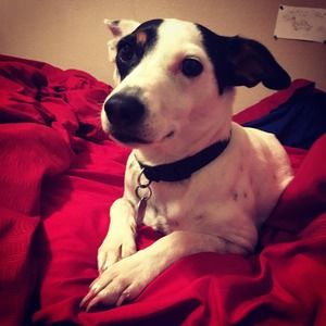 Meet your Posher, Hunter